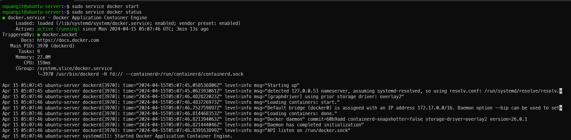 Terminal output of checking Docker service status