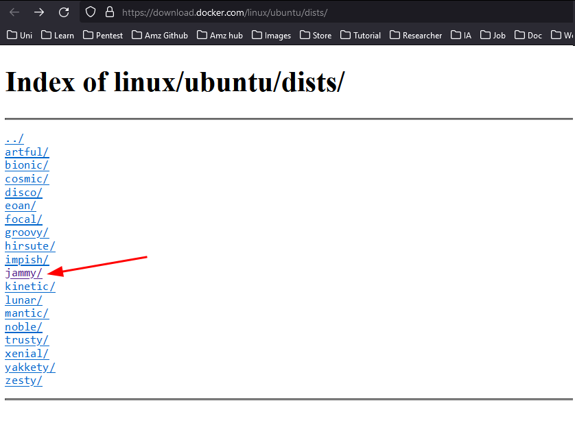 Browser screenshot showing directory listing of Docker Ubuntu dists