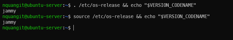 Terminal output checking Ubuntu version codename