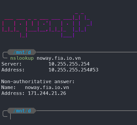 Lookup IP for domain
